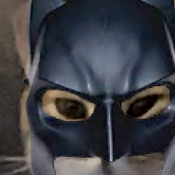Photo of cat